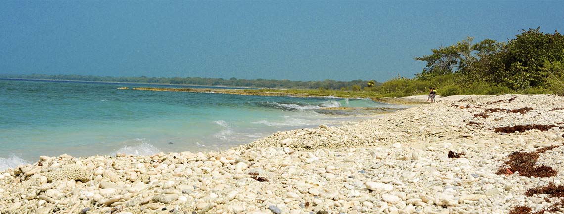 Nature à Péninsule de Guanahacabibes
